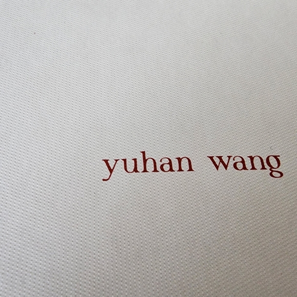 YUHAN WANG Gold Hair Earrings - Picture 3 of 8